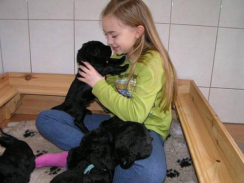 Click on the photo for the original