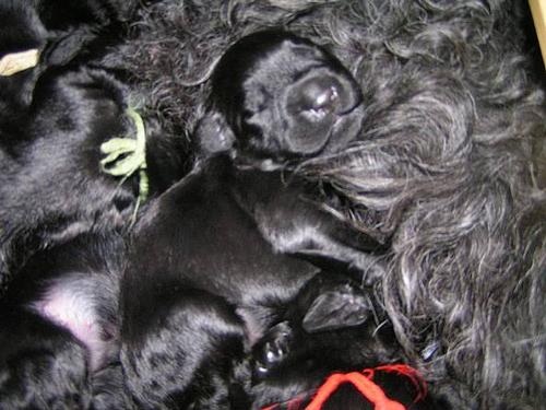 Click on the photo for the original