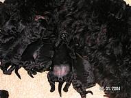 Click on the photo for the original