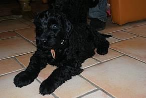 Click on the photo for the original