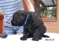 Click on the photo for the original