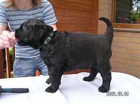 Click on the photo for the original