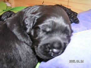 Click on the photo for the original