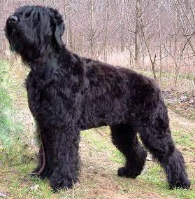 Click on the photo for the original