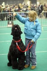 Click on the photo for the original