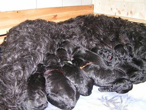 Click on the photo for the original