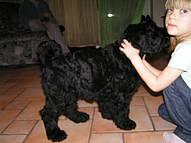 Click on the photo for the original