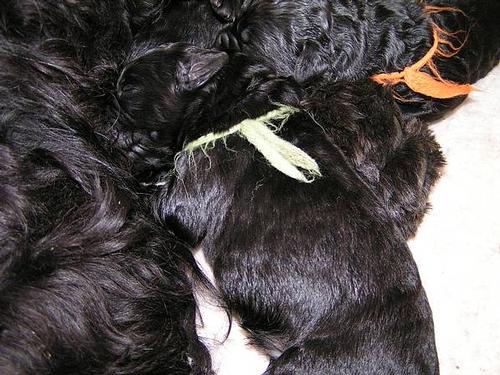 Click on the photo for the original