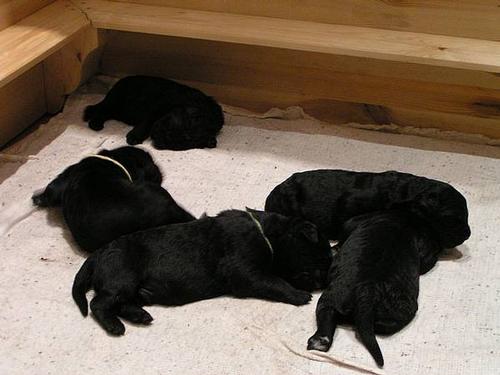 Click on the photo for the original