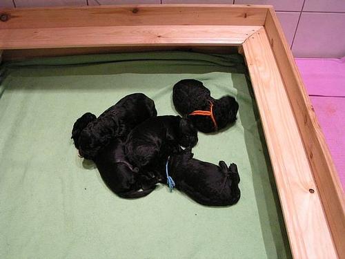 Click on the photo for the original