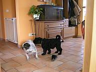 Click on the photo for the original