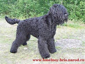 Click on the photo for the original