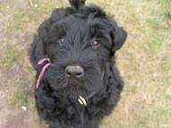 Click on the photo for the original