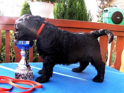 Click on the photo for the original