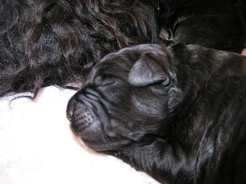 Click on the photo for the original