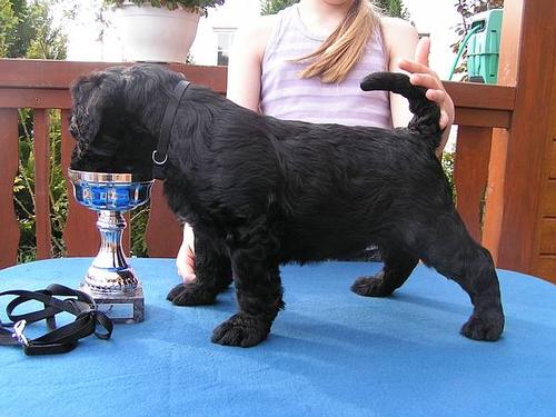 Click on the photo for the original