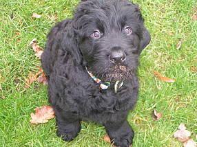 Click on the photo for the original