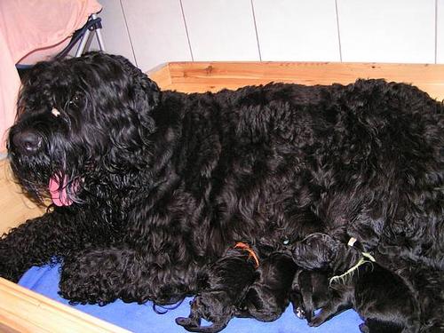 Click on the photo for the original