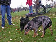 Click on the photo for the original