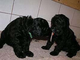 Click on the photo for the original