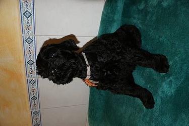 Click on the photo for the original