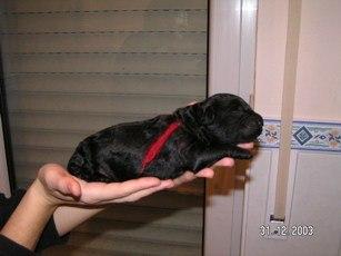 Click on the photo for the original