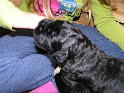 Click on the photo for the original