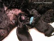 Click on the photo for the original