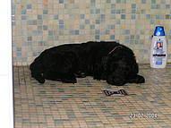 Click on the photo for the original