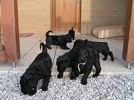 Click on the photo for the original