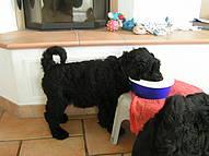 Click on the photo for the original