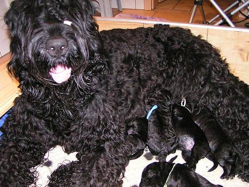 Click on the photo for the original