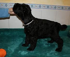 Click on the photo for the original