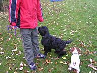 Click on the photo for the original