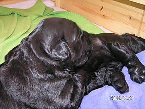 Click on the photo for the original