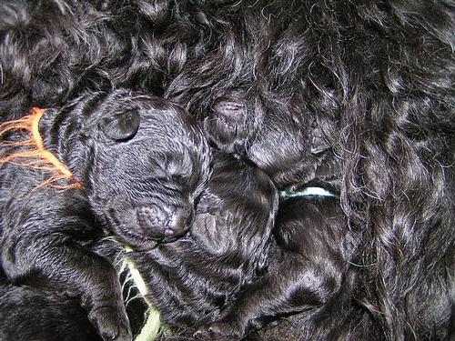 Click on the photo for the original