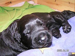 Click on the photo for the original