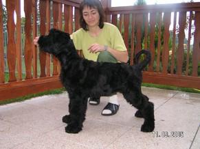 Click on the photo for the original