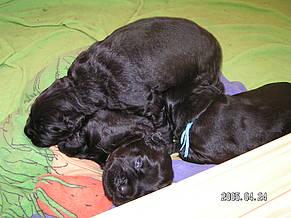 Click on the photo for the original