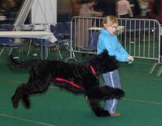 Click on the photo for the original