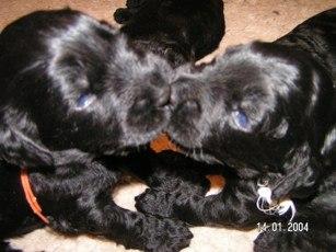 Click on the photo for the original