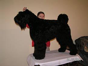 Click on the photo for the original