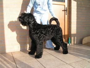 Click on the photo for the original