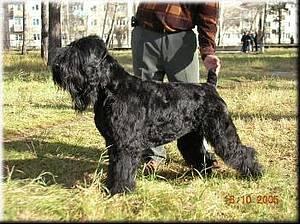 Click on the photo for the original