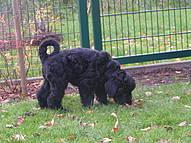 Click on the photo for the original