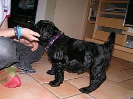 Click on the photo for the original