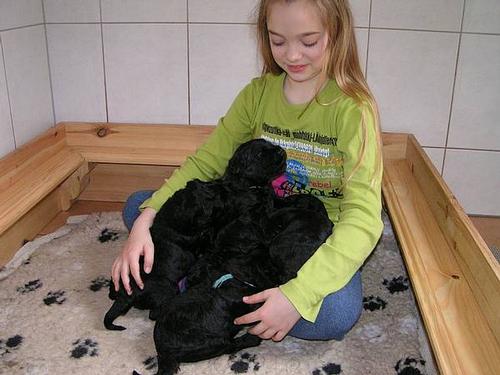 Click on the photo for the original