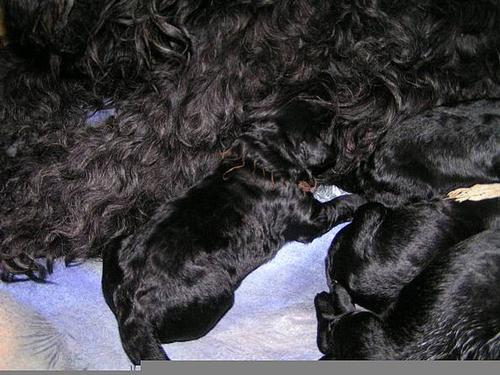 Click on the photo for the original