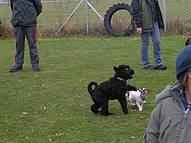 Click on the photo for the original