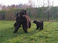 Click on the photo for the original